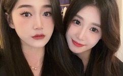 冬月枫作品封面